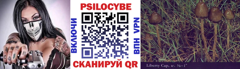 blacksprut зеркало  Ильский  Псилоцибиновые грибы Psilocybe 