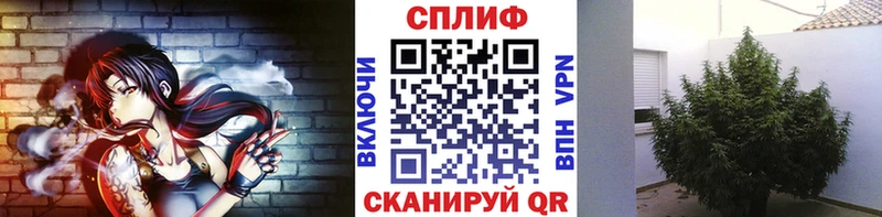 наркотики  Ильский  МАРИХУАНА OG Kush 